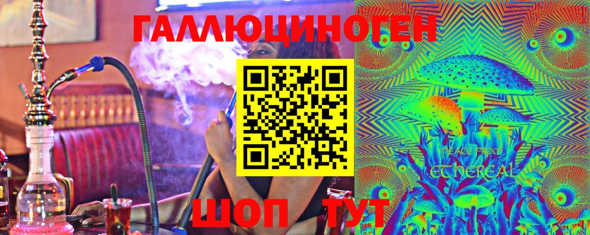 Кингисепп  купить наркотики сайты  Вход с VPN  Галлюциногенные грибы MAGIC MUSHROOMS  Псилоцибиновые грибы прущие грибы 